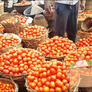 Mile 12 Market (Lagos State)